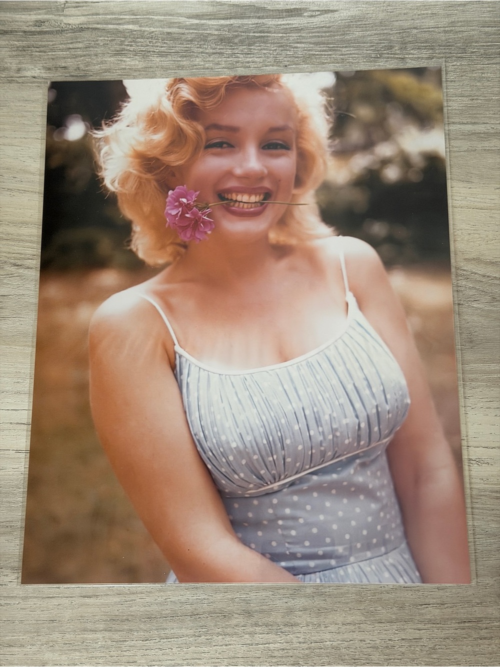Marilyn Monroe Blue Polkadot Dress 8x10 photo